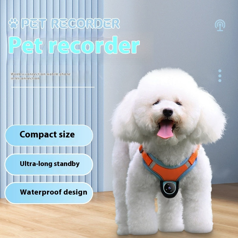 PetCam Collar – Safety, Memories, and Peace of Mind