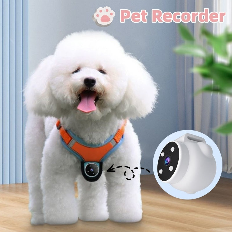 PetCam Collar – Safety, Memories, and Peace of Mind