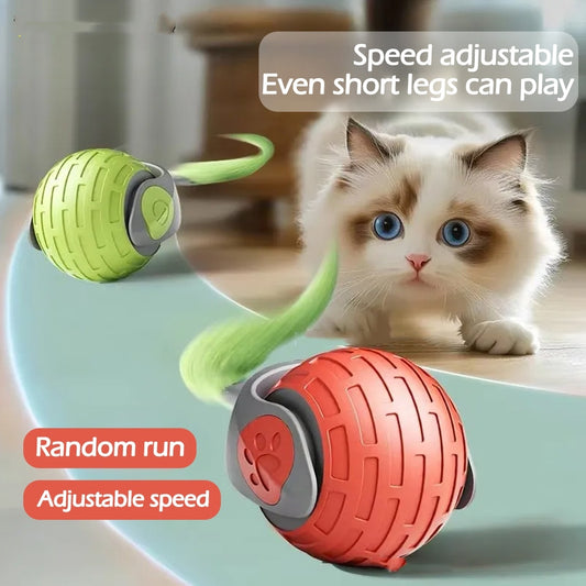 Smart Rolling Cat Toy – Keeps Kitties Active & Happy