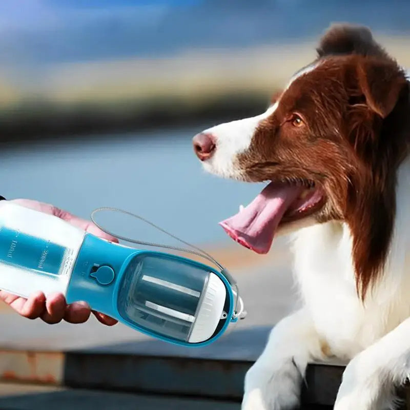 Portable 3-in-1 Dog Water Bottle