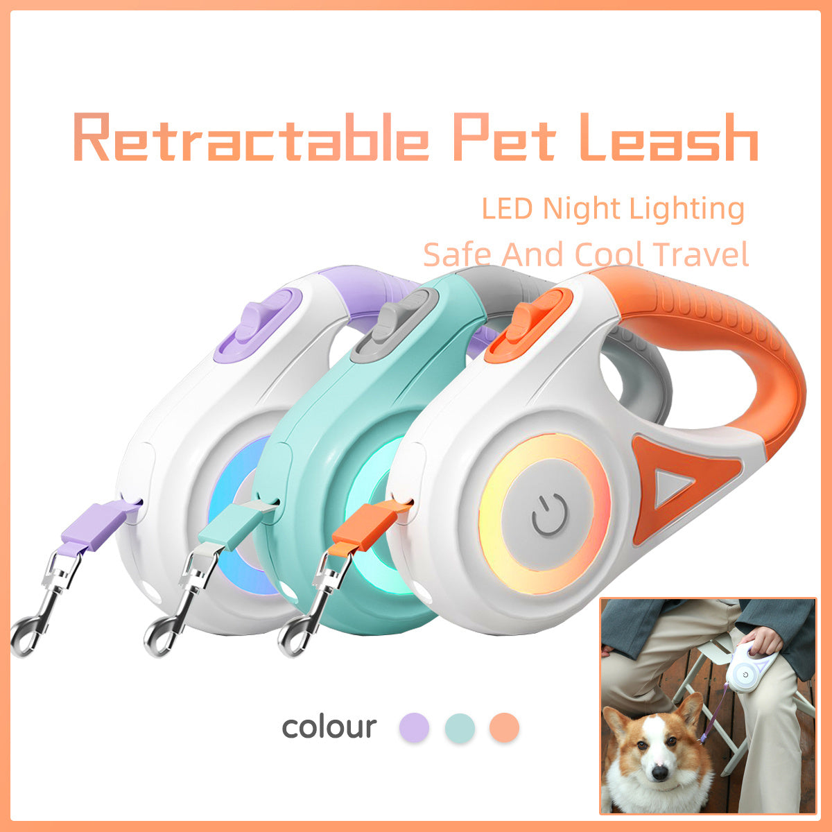 Retractable Dog Leash with LED Light & Collar