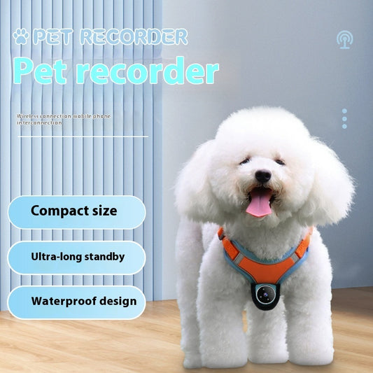 PetCam Collar – Safety, Memories, and Peace of Mind